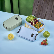Kooshty Cambria Recycled   Plastic Lunch Box
